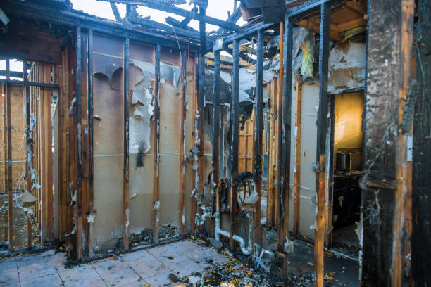Professional Soot Cleanup technician working in Brunswick, MD